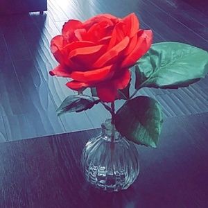 Meet your Posher, Bea